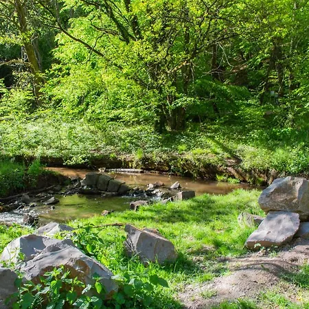 Wonderful Renovated With Great Location * Kaiserslautern