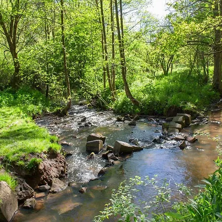 Wonderful Renovated With Great Location Lägenhet Kaiserslautern