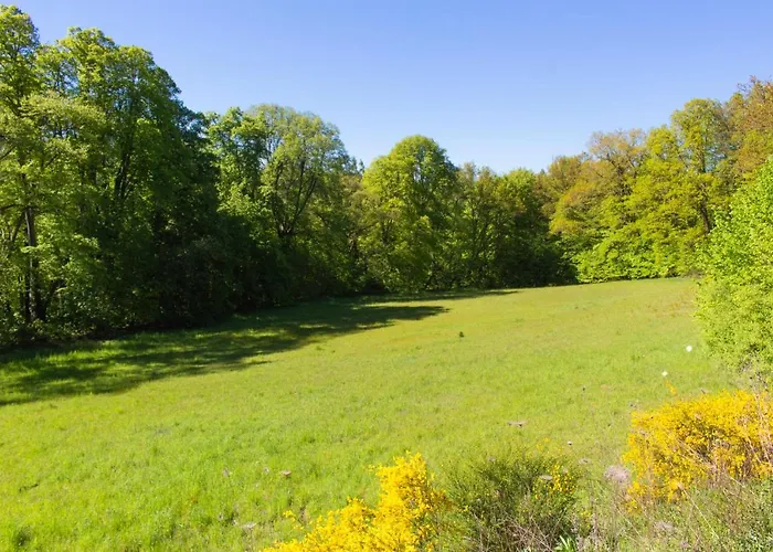 Wonderful Renovated With Great Location Appartement Kaiserslautern