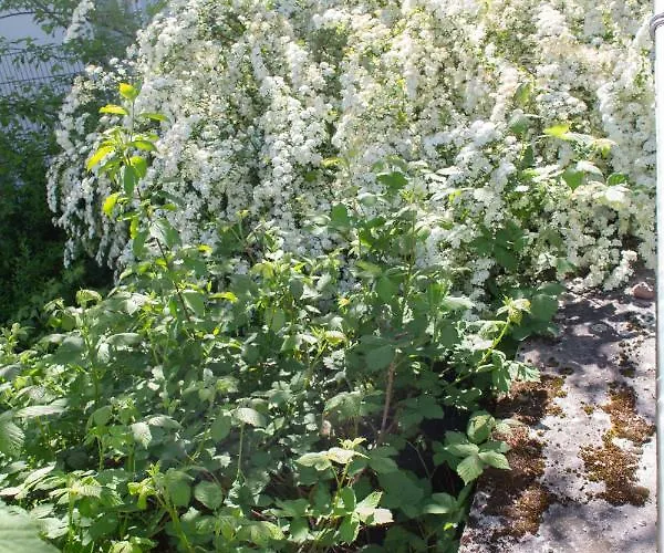 Wonderful Renovated With Great Location Апартаменты *