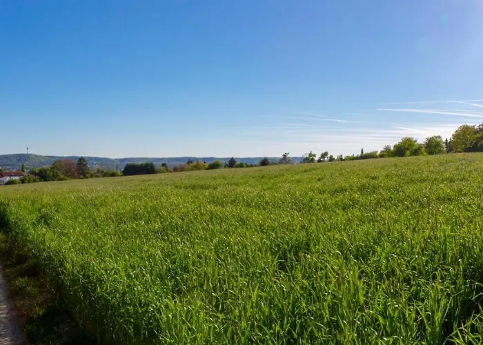 Wonderful Renovated With Great Location Апартаменты *