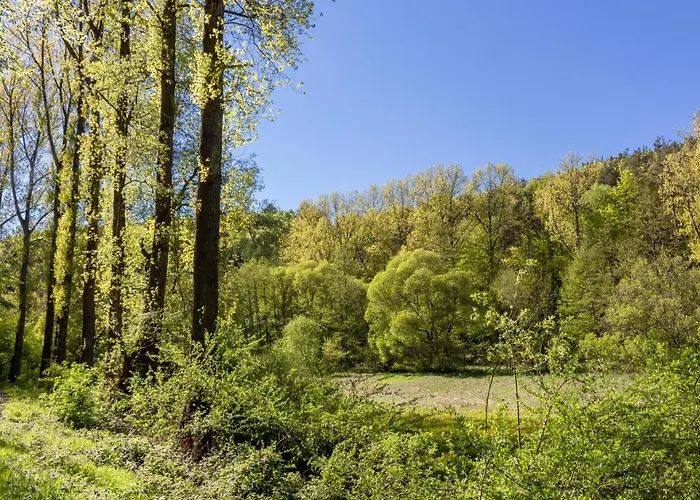 Апартаменты Wonderful Renovated With Great Location Кайзерслаутерн