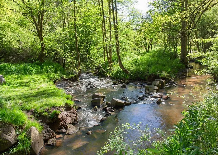 Wonderful Renovated With Great Location Апартаменты Кайзерслаутерн