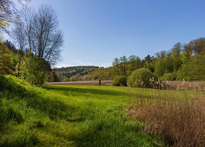 Wonderful Renovated With Great Location Appartement *