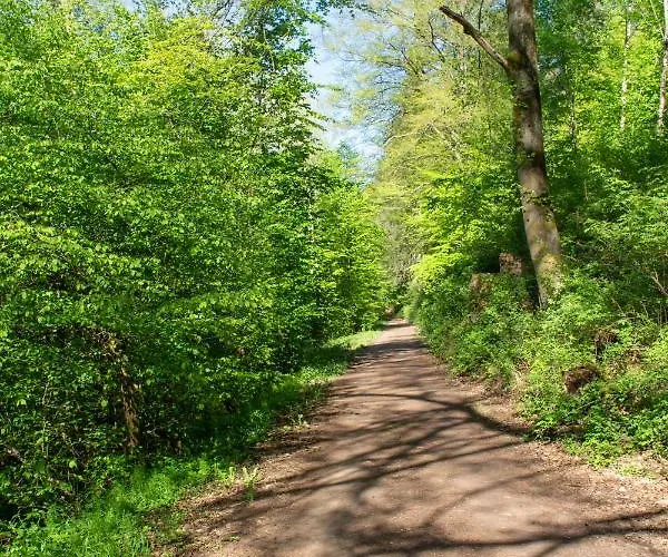 Апартаменты Wonderful Renovated With Great Location