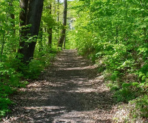 Appartement Wonderful Renovated With Great Location Kaiserslautern