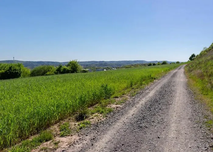 Wonderful Renovated With Great Location Апартаменты Кайзерслаутерн